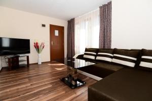a living room with a couch and a television at Guesthouse Nefertiti in Smolyan
