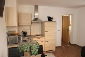 Kuchnia lub aneks kuchenny w obiekcie Apartment Warmuth