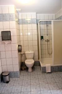 a bathroom with a toilet and a shower at Willa West Ende in Szczecin