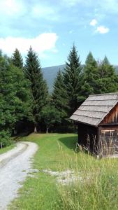 Příroda nedaleko apartmánu