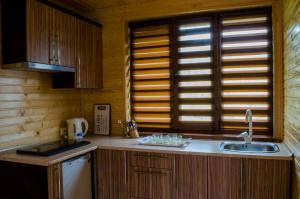 a kitchen with wooden cabinets and a sink and a window at Svitlana in Tatariv