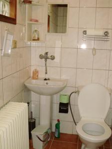 Ett badrum på Pension nad Truhlárnou