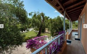 Zahrada ubytování Marilena Apartments & Studios