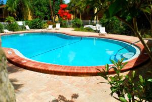 Swimmingpoolen hos eller tæt på 1+1 Large condo Sarasota