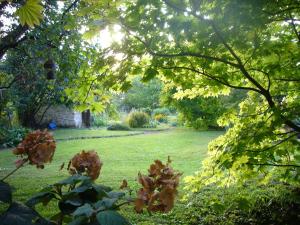 Blick auf den Garten unter einem Baum in der Unterkunft Silvia Krafts Bed and Breakfast in Schallstadt