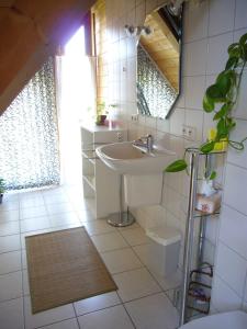 La salle de bains est pourvue d'un lavabo et d'un miroir. dans l'établissement Silvia Krafts Bed and Breakfast, à Schallstadt
