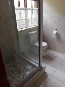 a bathroom with a toilet and a glass shower door at The Olde House in Port Elizabeth