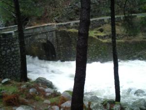 Príroda v okolí apartmánu