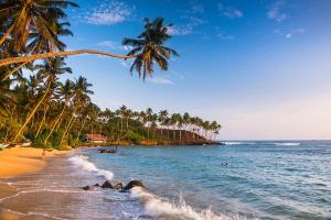una spiaggia con palme e persone in acqua di Suriya Homestay Mirissa a Mirissa