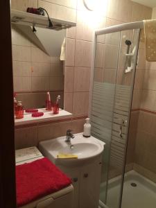 a bathroom with a sink and a shower at Apartment Linda in Zlatibor +22 photos
