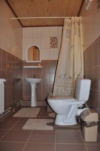 a bathroom with a toilet and a sink at Zacharovany Karpaty in Slavske +34 photos