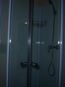 a shower with a glass door with a shower head at Hotel Edelweiss in Magland