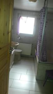 a bathroom with a shower and a toilet and a window at Ferienwohnung Mau in Pirmasens
