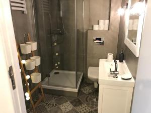 uma casa de banho com um chuveiro, um WC e um lavatório. em Apartament Prusa No 9 em Toruń
