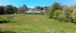 een groot veld met een huis erop bij B&B Bouton D'Or La Bouriotte in Labastide-Rouairoux