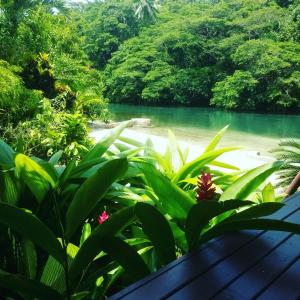 a view of the river from the garden at Salt Lake Lodge in Savusavu