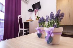 TV a/nebo společenská místnost v ubytování Hotel Villa Sandi - free parking