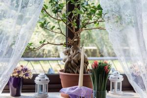 Zahrada ubytování Hotel Villa Sandi - free parking