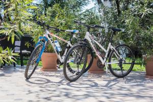 Jízda na kole v ubytování Hotel Villa Sandi - free parking nebo okolí