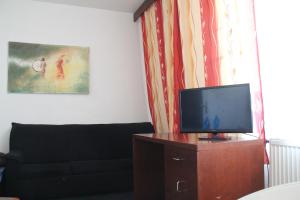 TV a/nebo společenská místnost v ubytování Hotel Rambousek