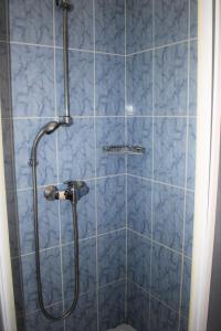 eine blau geflieste Dusche mit Duschkopf in der Unterkunft Apartment Rina in Vantačići