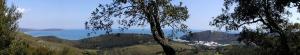 a view of a mountain range with a tree at Borgo degli Ulivi in Porto Ercole