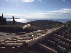 a stone roof with a potted plant on top of it at Borgo degli Ulivi in Porto Ercole