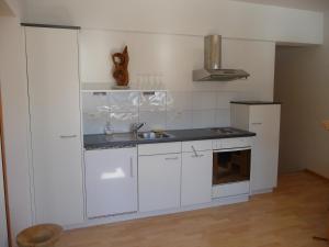 Una cocina o zona de cocina en Apartment Bergblick