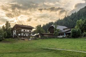 Příroda nedaleko apartmánu