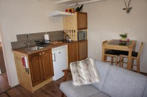 een keuken met een bank en een wastafel in de kamer bij Valley View Apartment in Kambreško
