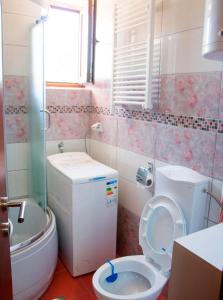 ein Bad mit einem WC und einem Waschbecken in der Unterkunft Apartman Lena in Vrnjačka Banja