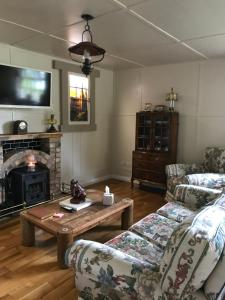 uma sala de estar com dois sofás e uma lareira em Log cabin em Armagh