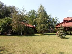 a yard in front of a house with trees at Pálya Vendégház in Pusztaszer