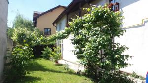ブラショヴにあるCasa Maisの家庭庭