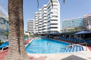 a swimming pool with a palm tree in front of a building at Magalluf Playa Apartments - Adults Only in Magaluf