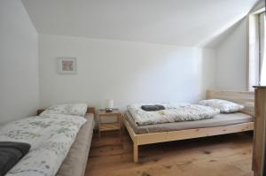 ein Schlafzimmer mit zwei Betten und eine Katze, die auf ihnen schläft. in der Unterkunft Jungfrau Family Holiday Home in Matten