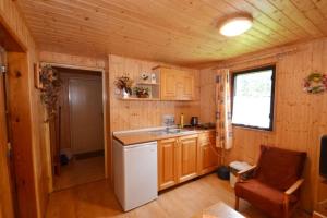 eine kleine Küche mit Spüle und Kühlschrank in der Unterkunft Lesní pension in Lipno nad Vltavou