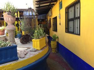 a building with a bunch of potted plants in a courtyard at Pension California in La Paz