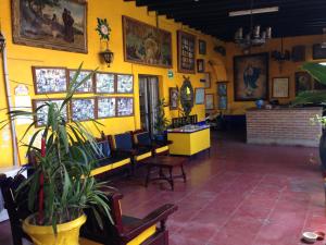 a yellow room with chairs and plants in it at Pension California in La Paz