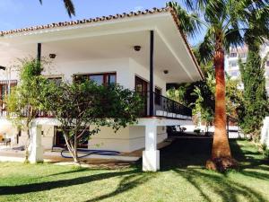a white house with a palm tree in the yard at Villa Maria de Waard in Nerja