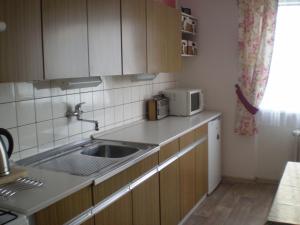 Köök või kööginurk majutusasutuses apartman pro 4 osoby