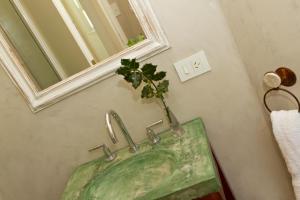 a bathroom with a sink with a plant on it at Hosteria Mi Casa en la Sierra in Tandil