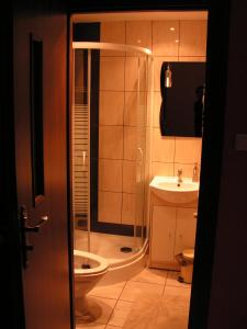 a bathroom with a shower and a toilet and a sink at Winnica Na Leśnej Polanie in Zabór