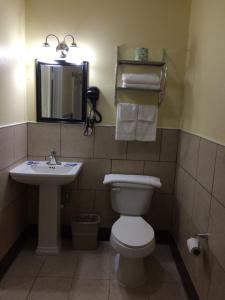 a bathroom with a sink and a toilet and a mirror at Blarney Inn in Shamrock