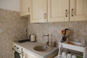 A kitchen or kitchenette at Olga's Studio