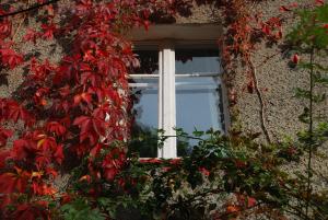 una ventana en un edificio de piedra con hojas rojas en Noclegi nad Pośną en Radków