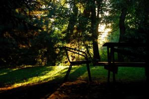 un banco del parque sentado a la sombra de un árbol en Noclegi nad Pośną en Radków