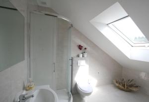 łazienka z toaletą i oknem dachowym w obiekcie Mazurska Sielanka w mieście Snopki