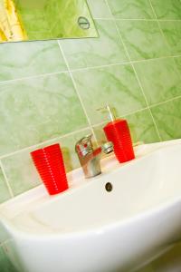 オムスクにあるRENT-сервис Apartment Irtyshskaya naberezhnaya 15bの赤いカップ2つ付き洗面台