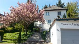 una magnolia frente a una casa blanca en Burgauer Hof, en Burgau